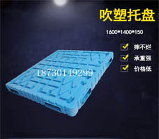 1614-150mm 吹塑塑料托盤